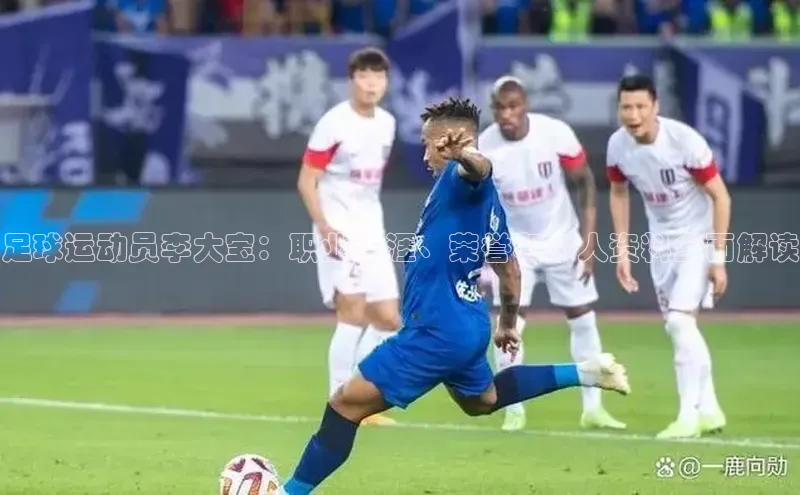 天博全站app网页版阿里尔公司足球运动员李大宝：职业生涯、荣誉和个人资料全面解读