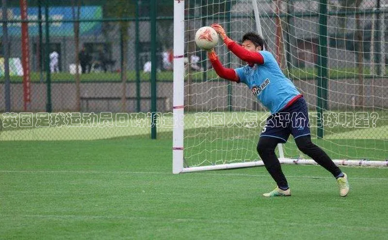 天博全站app网页版阿里尔公司英国足球运动员口碑调查：英国人怎么评价足球明星？