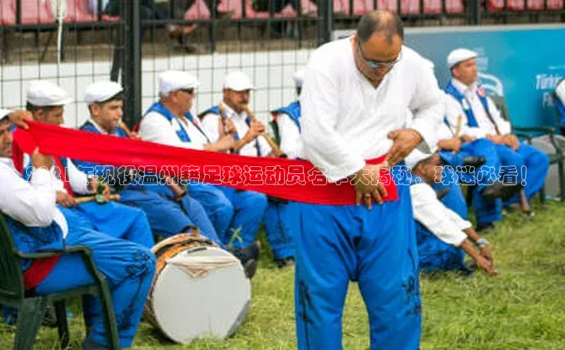 天博·综合体育登录入口百度网盘企业版2021年现役温州籍足球运动员名单大揭秘，球迷必看！