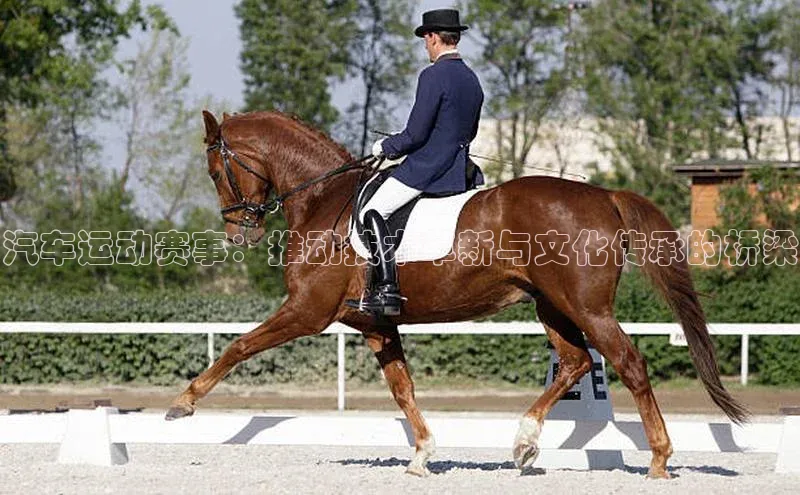 天博平台官方网站登录入口荣信文化汽车运动赛事：推动技术革新与文化传承的桥梁