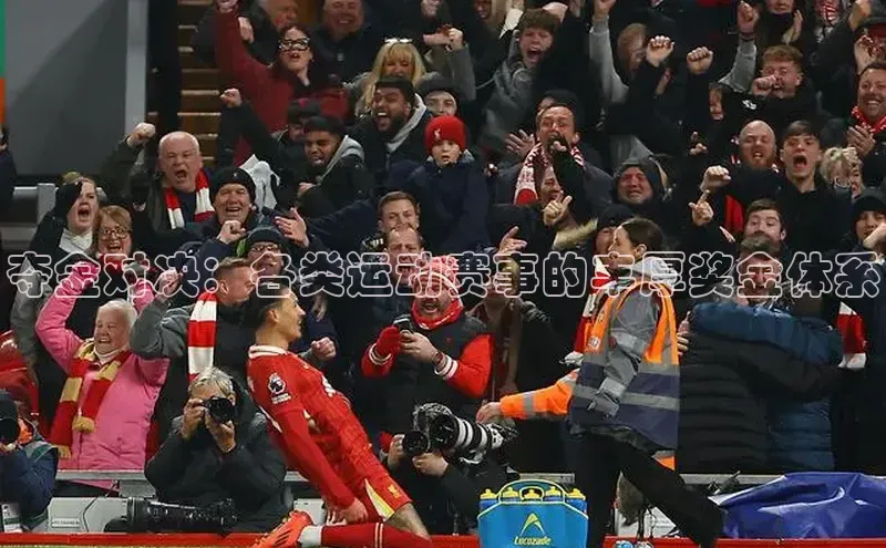 夺金对决：各类运动赛事的丰厚奖金体系