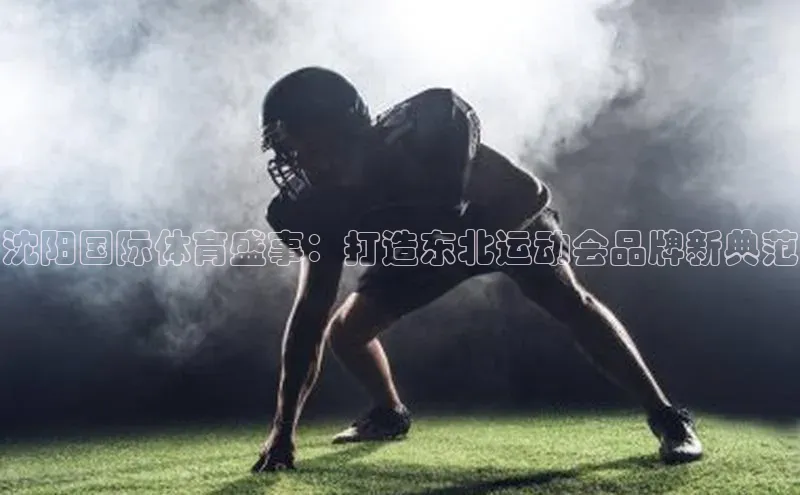 沈阳国际体育盛事：打造东北运动会品牌新典范