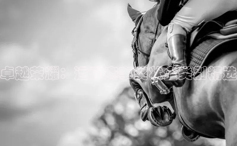 卓越荣耀：运动赛事奖状全类别精选