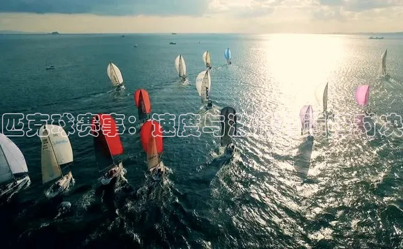 匹克球赛事：速度与激情的巅峰对决