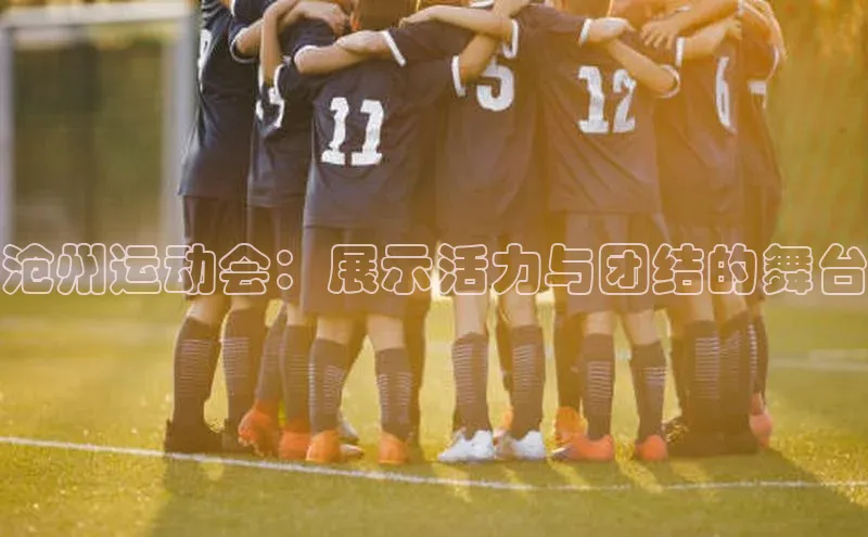 沧州运动会：展示活力与团结的舞台
