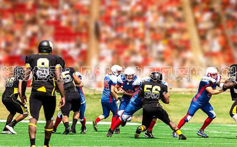 精彩检录：见证运动员风采的时刻