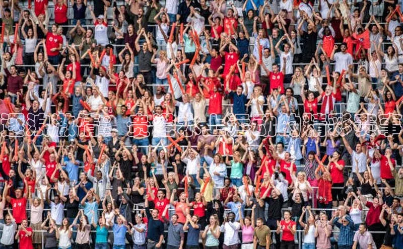 逐浪激情：贵港水上运动的精彩赛事