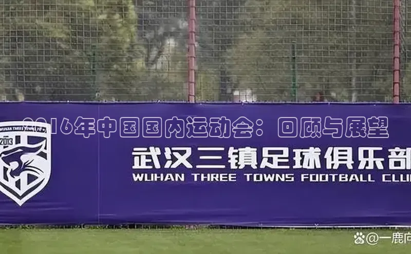 2016年中国国内运动会：回顾与展望