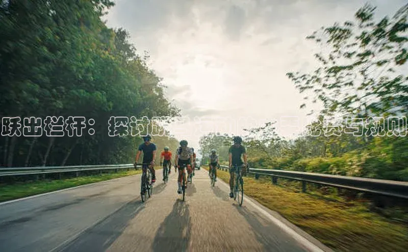 跃出栏杆：探讨跳马运动的主要比赛与规则