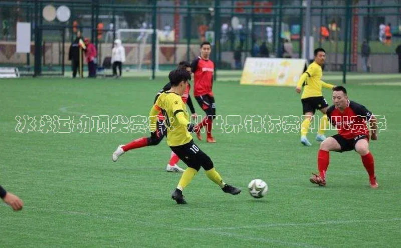 冰球运动顶尖赛事：从世界锦标赛到NHL赛季